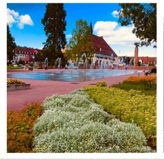 Traumblick Fewo Mit Pool ไบเออร์สบรอนน์ ภายนอก รูปภาพ
